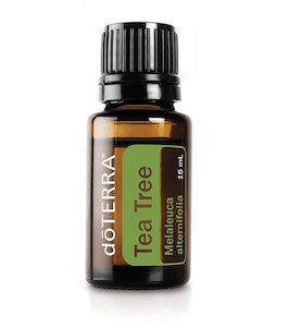 doTERRA Tea Tree essential oil 15mL - Essential Health NZ