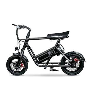 Scooters: Emove RoadRunner