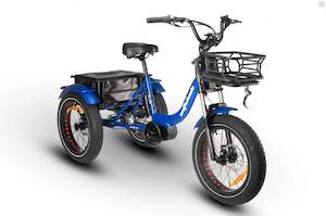 E Bike: Wattwheels Trike XT