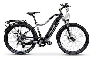 E Bike: Wattwheels Bighorn Urban (Hub)