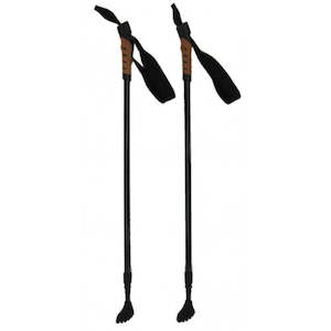 Nordic Walking Stick (pr)