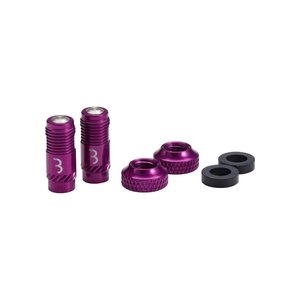 All: BBB VALVE CAPS CORECAP 2pcs - PURPLE