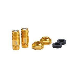 All: BBB VALVE CAPS CORECAP 2pcs - GOLD