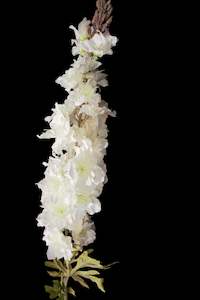 Delphinium stems White
