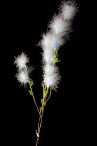 Artificial Flowers: Whisp Willow White & Blue