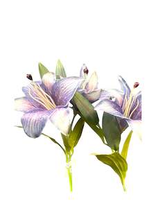 Enchanted purple lilie