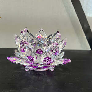 Lotus Flower Purple