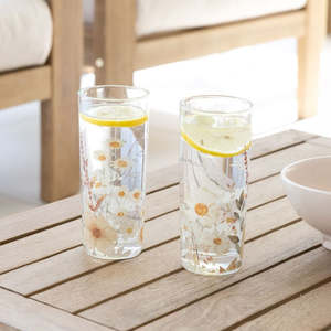 Splosh Rustic Meadow Highball Glasses | Set of 2