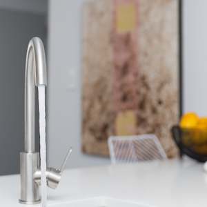 Kitchen And Laundry Taps All Pressure: VODA ELITE STAINLESS MINIMAL GOOSENECK SINK MIXER  COLD START