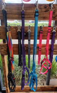 Car Safety Restraints