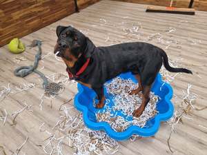 Daycare: Daycare Half Days