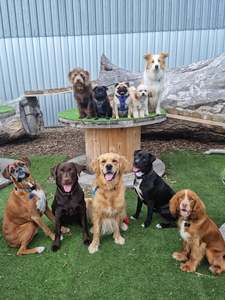 Daycare: Daycare Packages