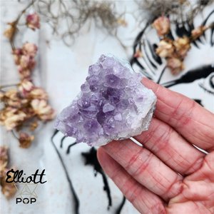 Cute Amethyst Cluster