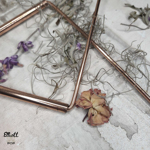 Products: Paranormal Investigation • Elliott Pop Crystals, Tarot + Oracle and Spiritual Delights