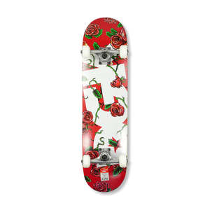 DGK Bloom Complete Skateboard
