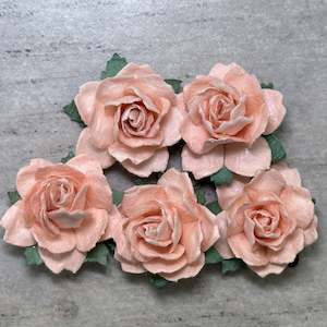Flowers Cottage Roses: Cottage Roses - Peach 25mm (5pk)