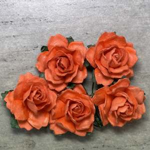 Flowers Cottage Roses: Cottage Roses - Orange 25mm (5pk)