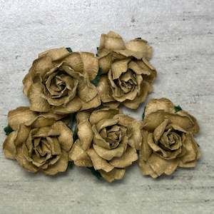 Flowers Cottage Roses: Cottage Roses - Mocha 25mm (5pk)