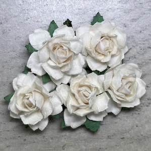 Flowers Cottage Roses: Cottage Roses - Ivory 25mm (5pk)