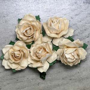 Flowers Cottage Roses: Cottage Roses - Butter Cream 25mm (5pk)