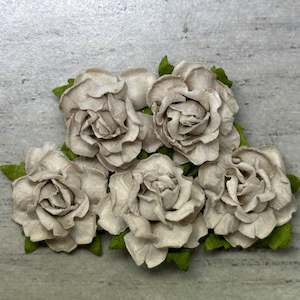 Flowers Cottage Roses: Cottage Roses - Beige 25mm (5pk)
