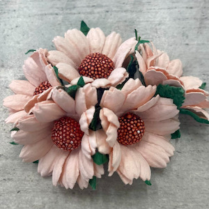 Embellish It: Chrysanthemums - Pale Peach (5pk)