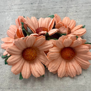Chrysanthemums - Light Orange (5pk)