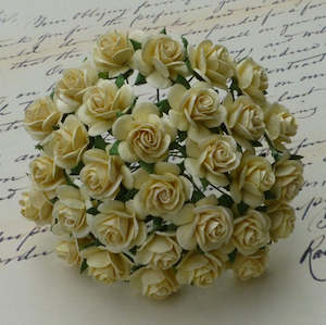 Flowers Open Roses: Open Roses - Butter Cream