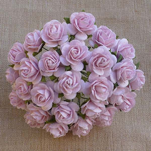 Flowers Open Roses: Open Roses - Pink Mist