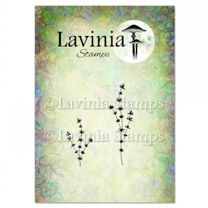 Lavinia Stamps: Lavinia Stamps - Thyme (LAV952)