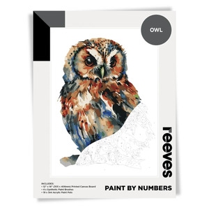 Reeves - Paint by Number - Owl - 12"x16"