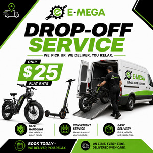 Service: E-Bike and E-Scooter Delivery Service