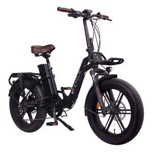 E Bikes: ET.Cycle F1000 Folding Fat E-Bike, 300W, 48V 21Ah, 1008Wh, Hydraulic Brakes [Black 20"]