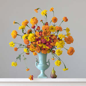 Floral Portraits: Sun Kissed