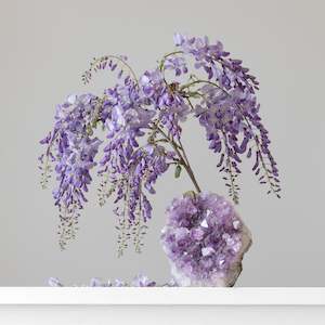 Terra Firma: Amethyst (Brazil) Wisteria