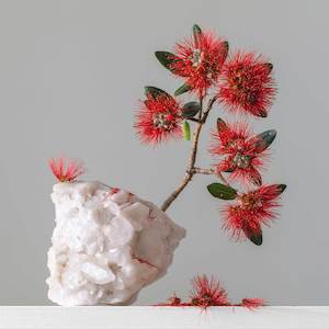 Terra Firma: White Quartz (Brazil) Pohutukawa