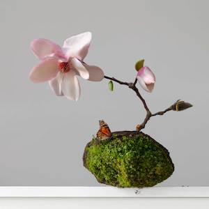 Terra Firma: Scoria (NZ) Magnolia