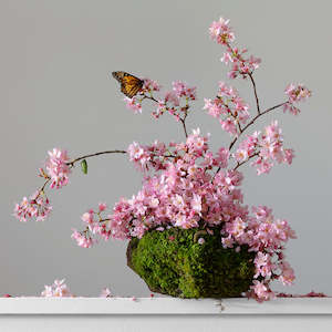 Terra Firma: Rock Solid