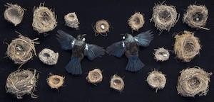 Community, hapori 1. 2022