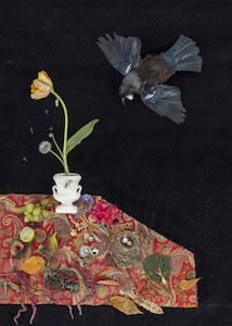 The Messengers Nga Karere: The Messenger, nga karere 3. 2022