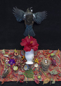 The Messenger, nga karere 2. 2022