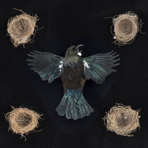 Emblem, tohu 2. 2022