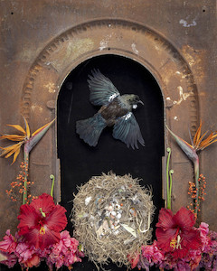 The Messengers Nga Karere: Crucible, oko whakawera 2. 2022