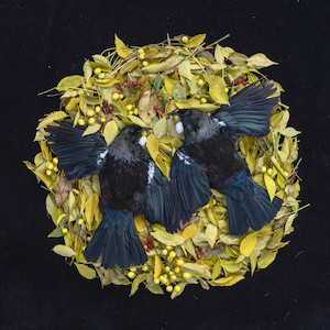 The Messengers Nga Karere: Home, haukāinga 2. 2022