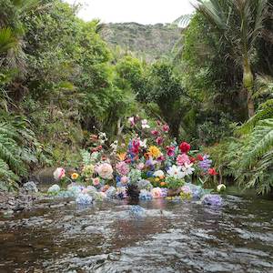 Koanga Green Spring: Garden of Glenesk Stream