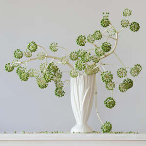30 Off Artworks: Aralia 3.28 pm