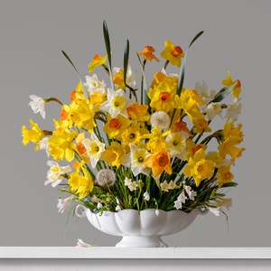 30 Off Artworks: Daffodils, Freesias & Dandelions 2.39pm