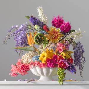 Floral Portraits: Viva La Chroma