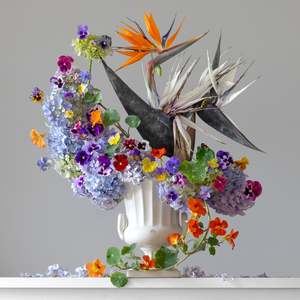 Floral Portraits: Bird Of Paradise