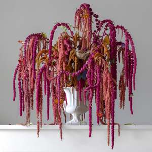 Floral Portraits: Love Lies Flowing